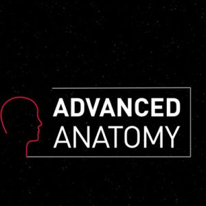 Advanced Facial Anatomy Series