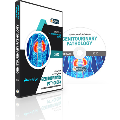 Genitourinary-Pathology-Oakstone-Clinical-Update-2020.jpg Genitourinary Pathology Clinical Update 2020 - Image 1