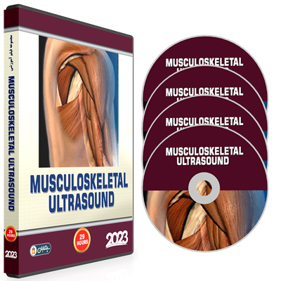 Pegasus-Musculoskeletal-Ultrasound-eCourse-2023-Course.jpg Pegasus Musculoskeletal Ultrasound eCourse 2023 (Course) - Image 1