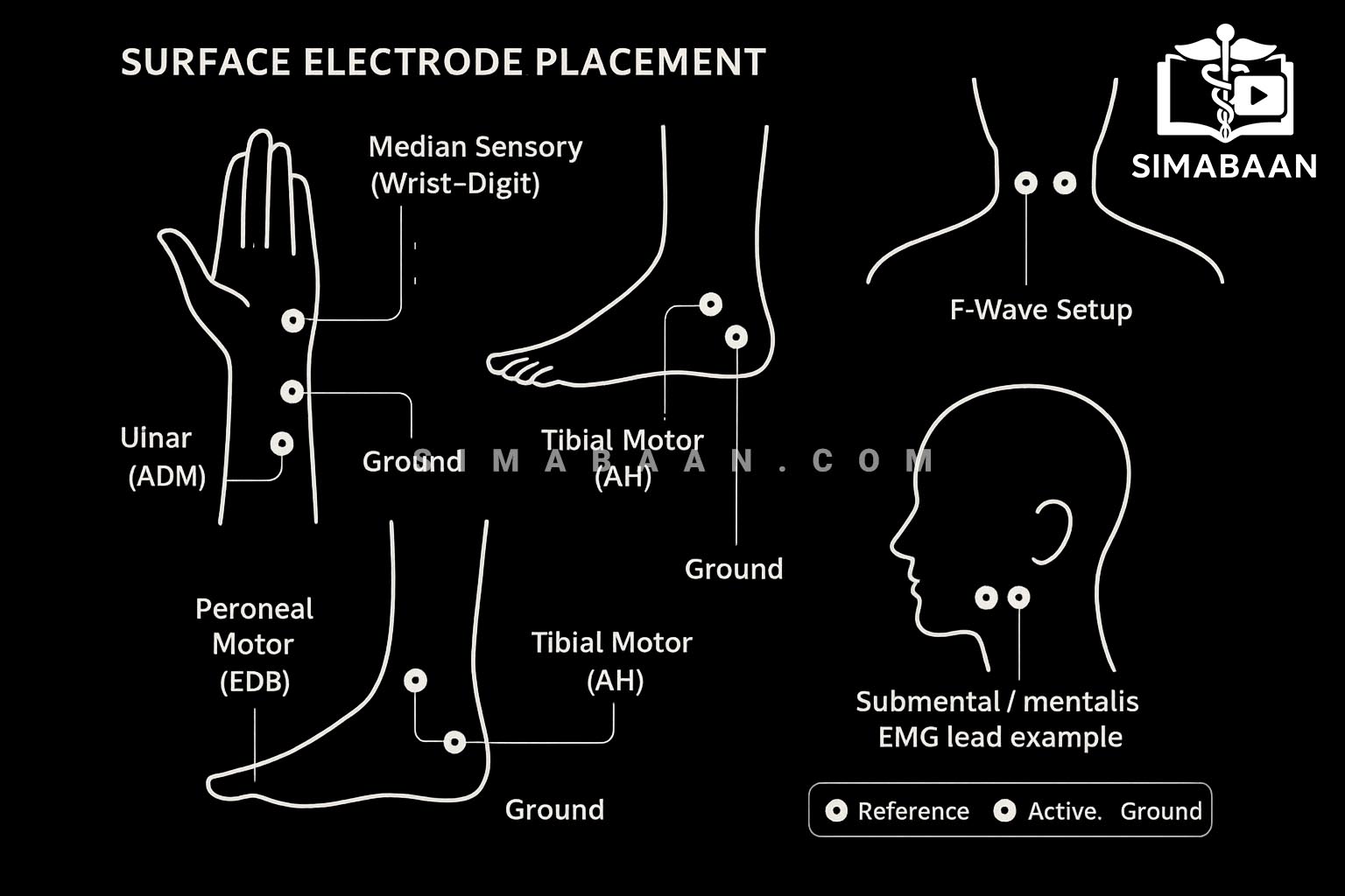 تصویر دوره جامع آموزش EMG/NCS و سری EDX Essentials (تمامی ۱۵ جلد) – Laboratory Subscription: EMG/NCS and Essential EDX Series - All 15 Volumes