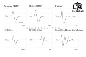 تصویر دوره جامع آموزش EMG/NCS و سری EDX Essentials (تمامی ۱۵ جلد) – Laboratory Subscription: EMG/NCS and Essential EDX Series - All 15 Volumes