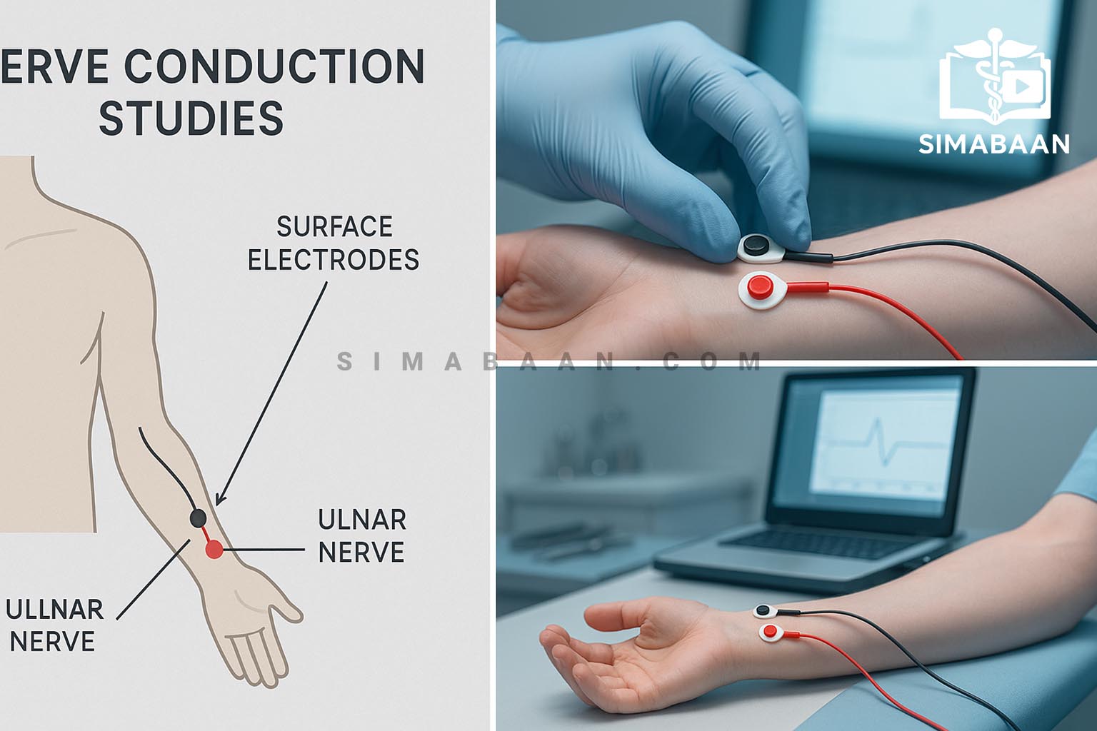 تصویر دوره جامع آموزش EMG/NCS و سری EDX Essentials (تمامی ۱۵ جلد) – Laboratory Subscription: EMG/NCS and Essential EDX Series - All 15 Volumes