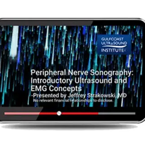 222222222222222222222222-1.jpg Gulfcoast Peripheral Nerve Sonography: Introductory Ultrasound and EMG Concepts - Image 1