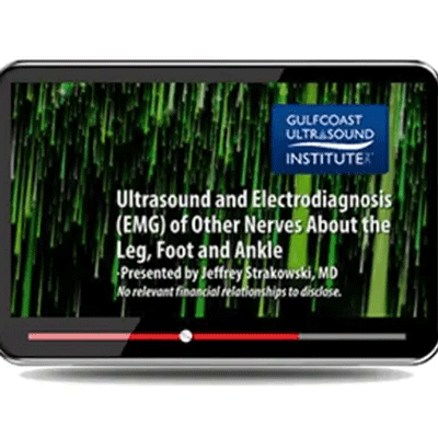 33333333333333333333.gif Gulfcoast Ultrasound and Electrodiagnosis (EMG) of Other Nerves About the Leg, Foot and Ankle 2023 - Image 1