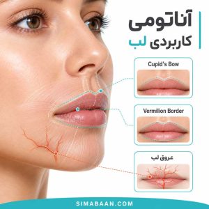 آموزش تخصصی تزریق فیلر لب و زیباسازی صورت Kiss Aesthetic 2019
