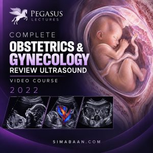 دوره Pegasus OB/GYN Ultrasound Review 2022 سونوگرافی زنان و بارداری