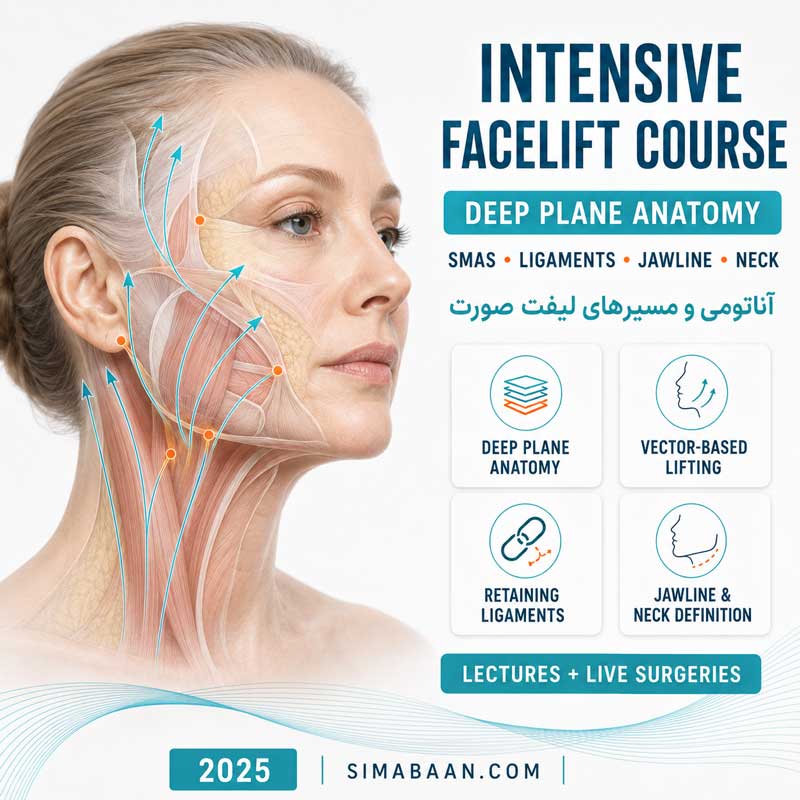 دوره SOMCEP Intensive Facelift Course 2025 با Mike Nayak و Ben Talei